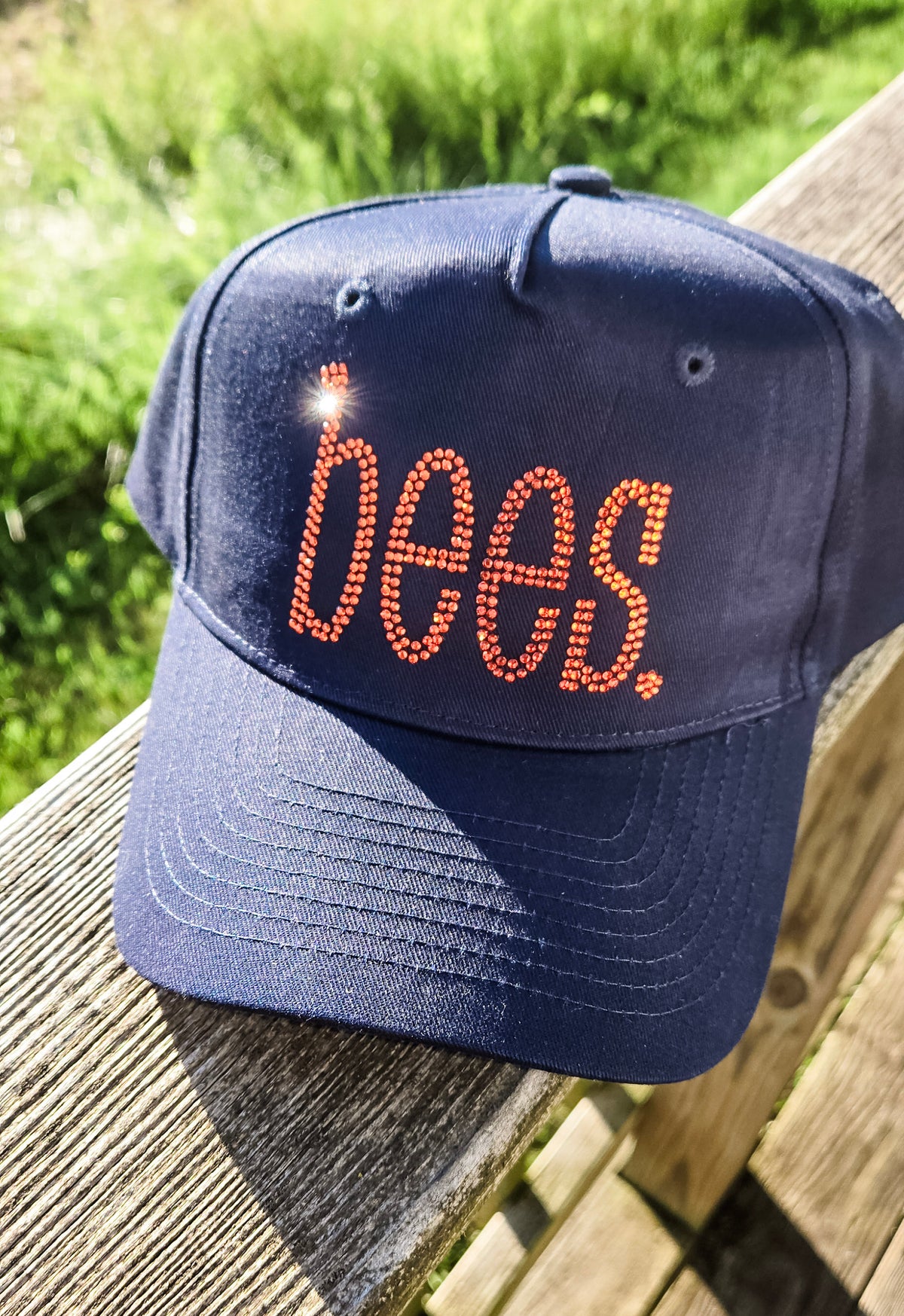 Bridgman Bees Rhinestone Hat image 0
